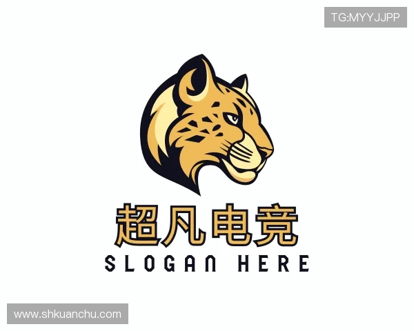 发现赛事资源